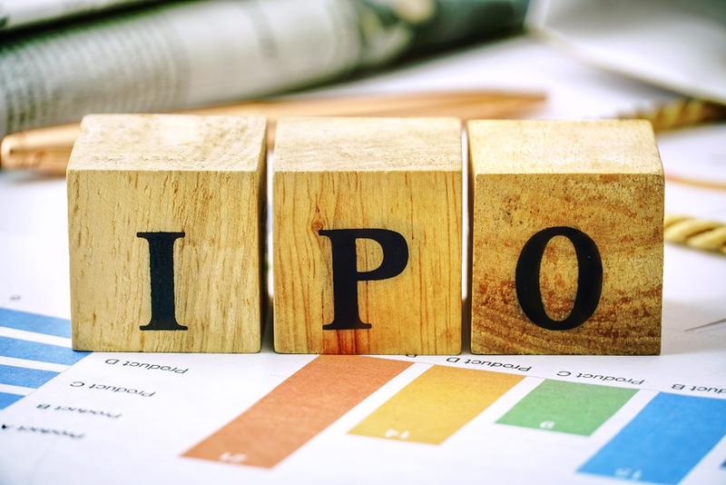 How HNIs Can Participate in IPOs in India - Benefits, Process, and Compliance